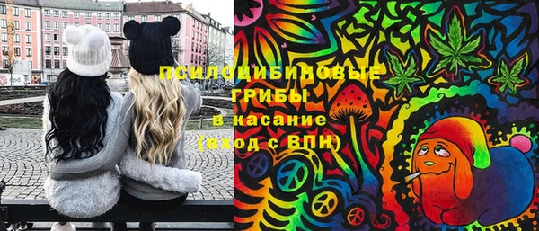 ГАЛЛЮЦИНОГЕННЫЕ ГРИБЫ Кукмор