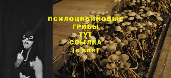 первитин Ладушкин