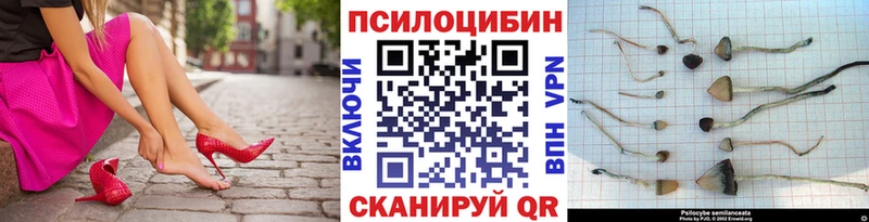 Галлюциногенные грибы Psilocybine cubensis  нарко площадка формула  Сусуман 